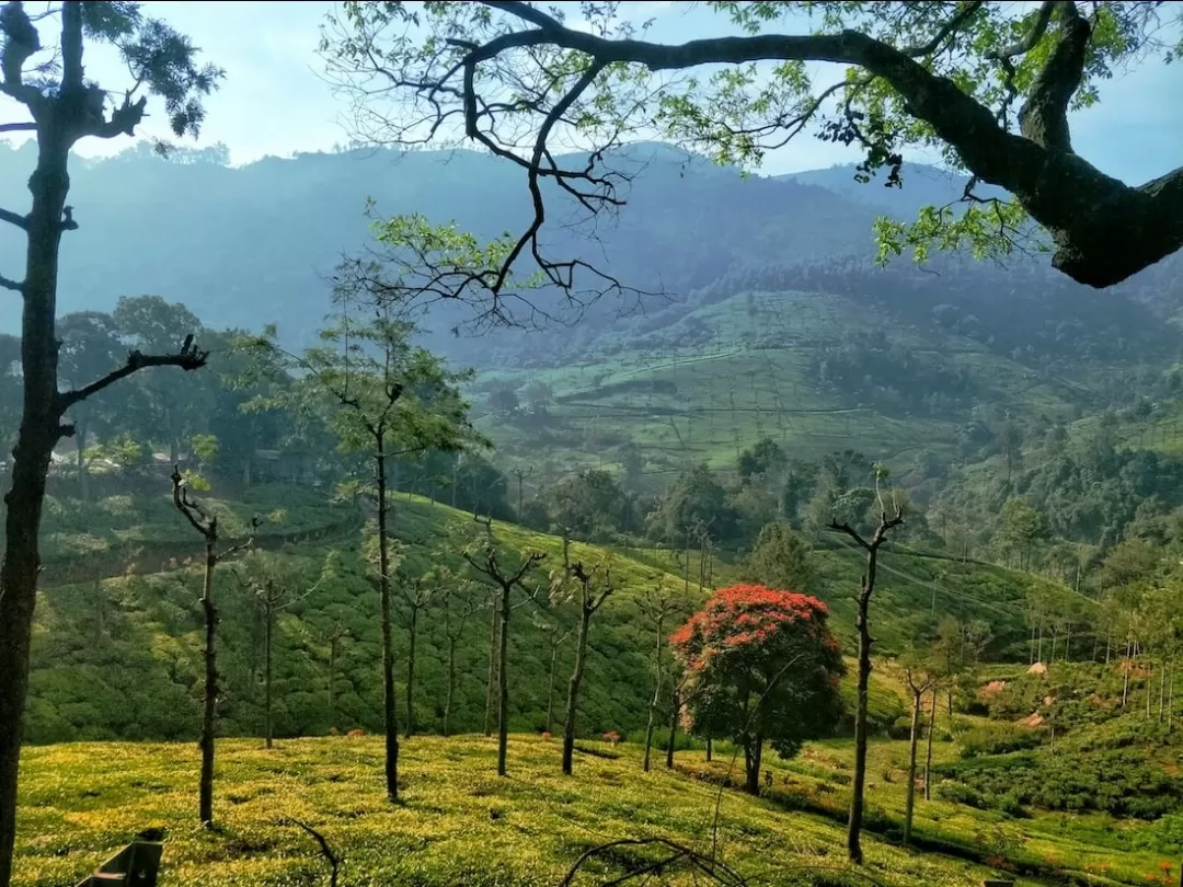 Photo of Ooty By Er.JACKY GOYAL