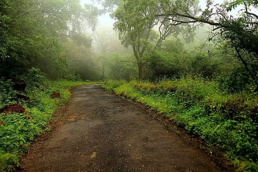 Photo of Pachmarhi By Er.JACKY GOYAL