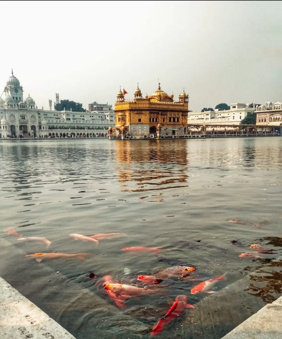 Photo of Amritsar By Er.JACKY GOYAL