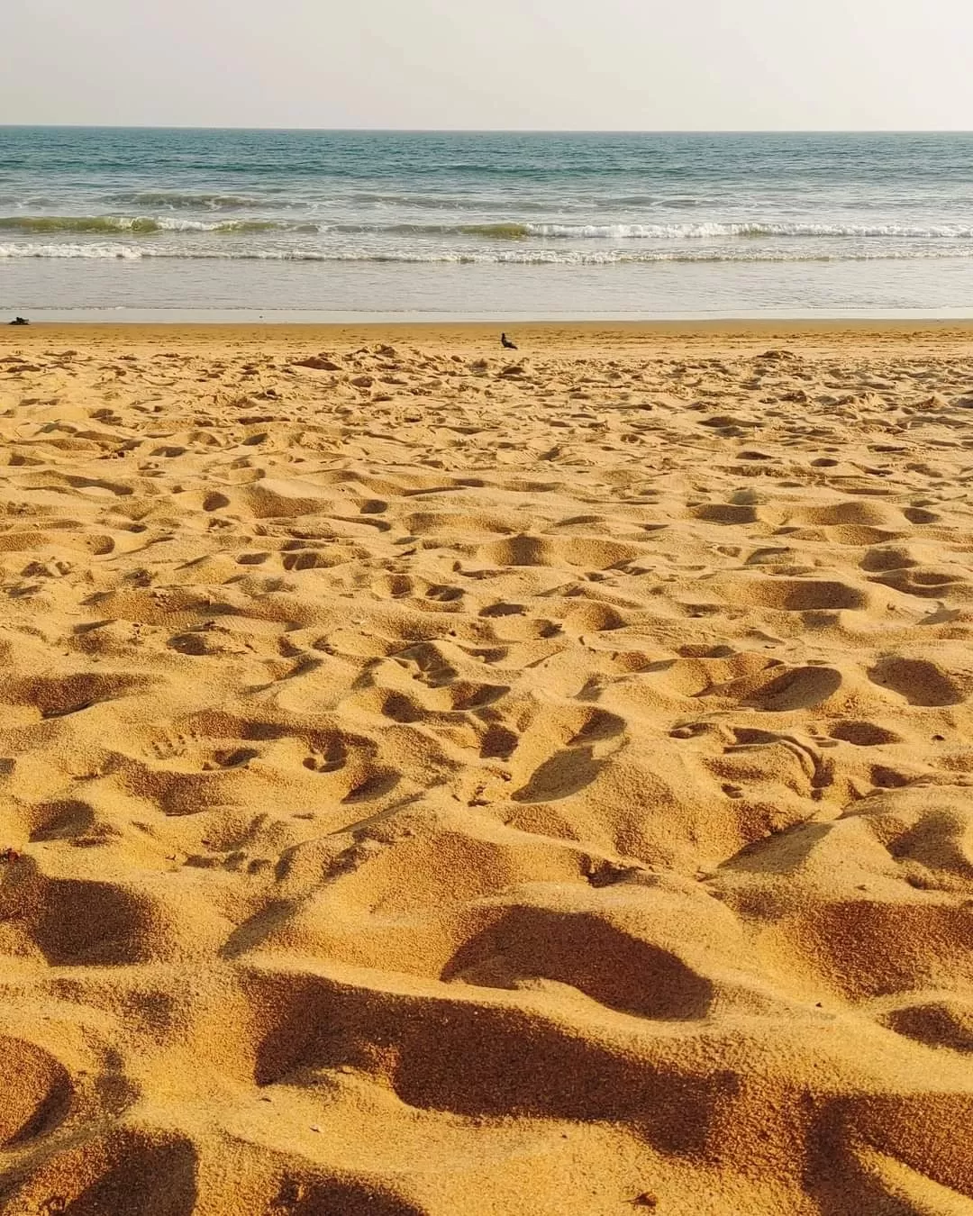 Photo of Puri By Sunanda Chowdhury 