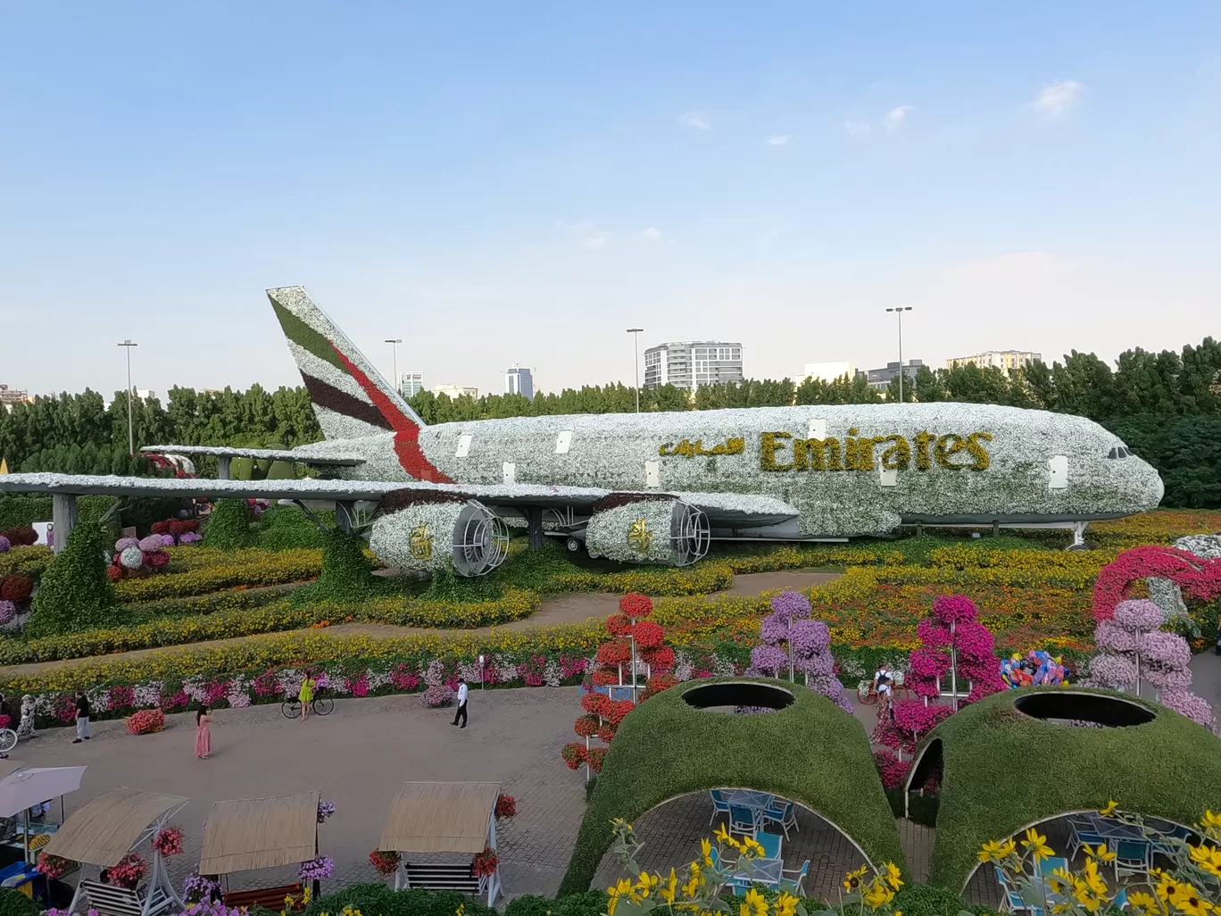 Photo of Dubai Miracle Garden By hemlata singh