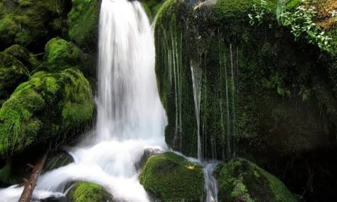 Photo of Masouri By jeenu garg