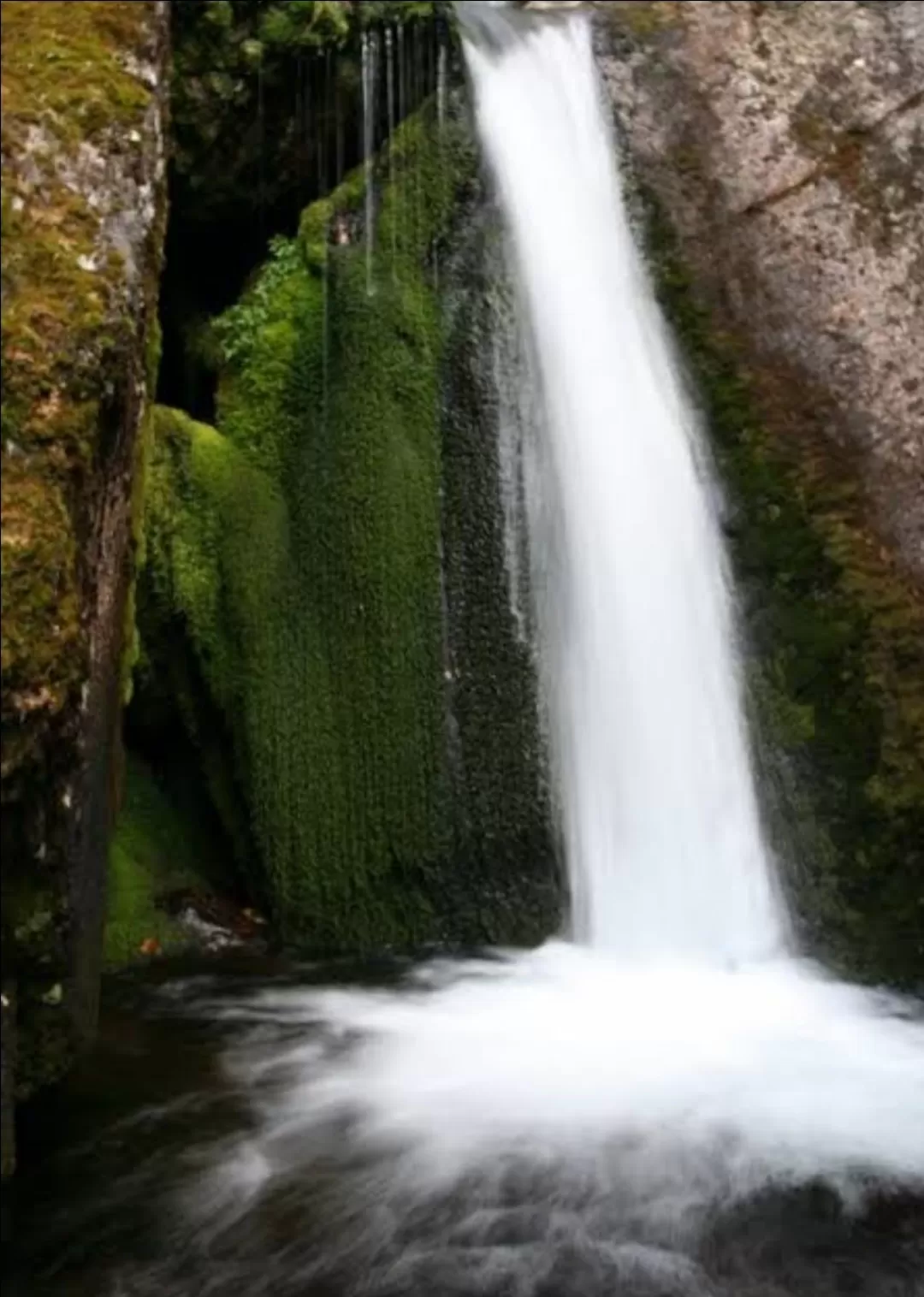 Photo of Masouri By jeenu garg