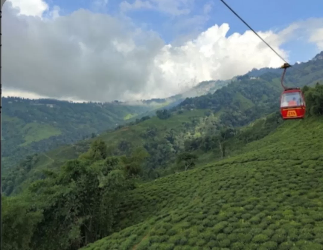 Photo of Darjeeling By jeenu garg