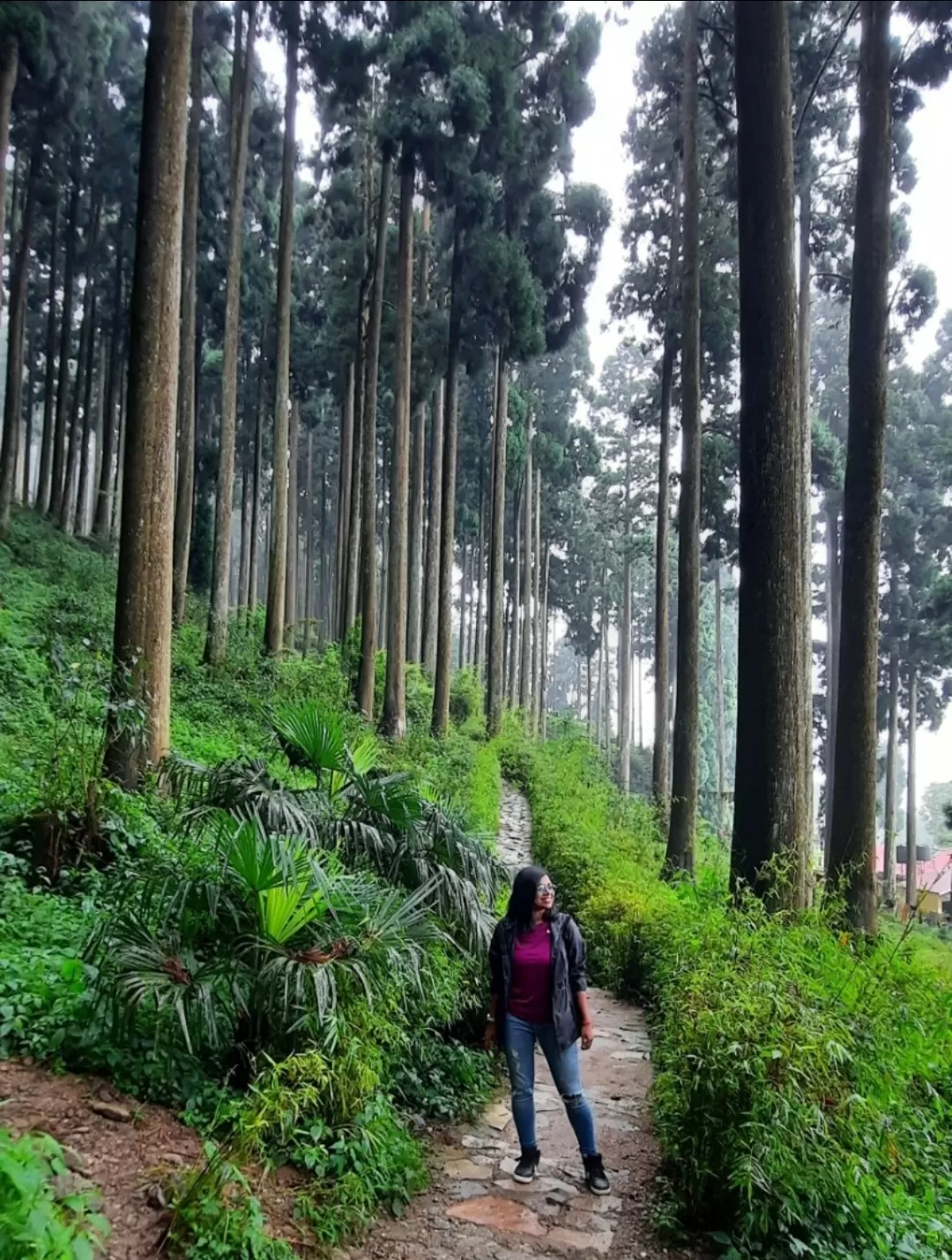 Photo of Darjeeling By Ankita Sinha