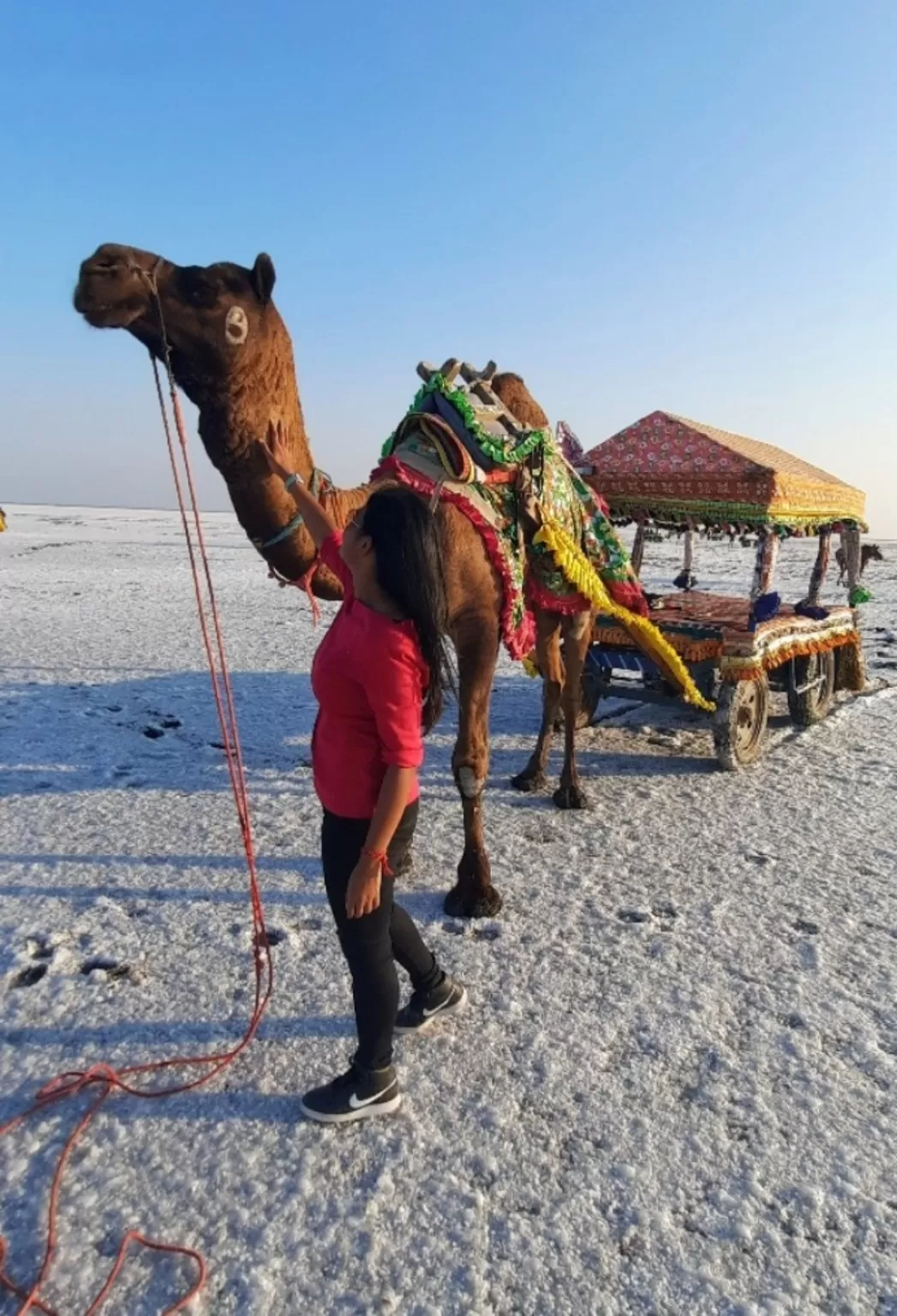 Photo of Kutch By Ankita Sinha