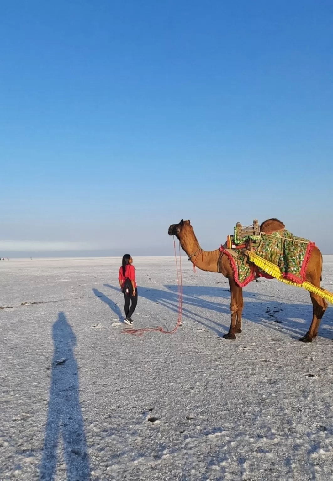 Photo of Kutch By Ankita Sinha