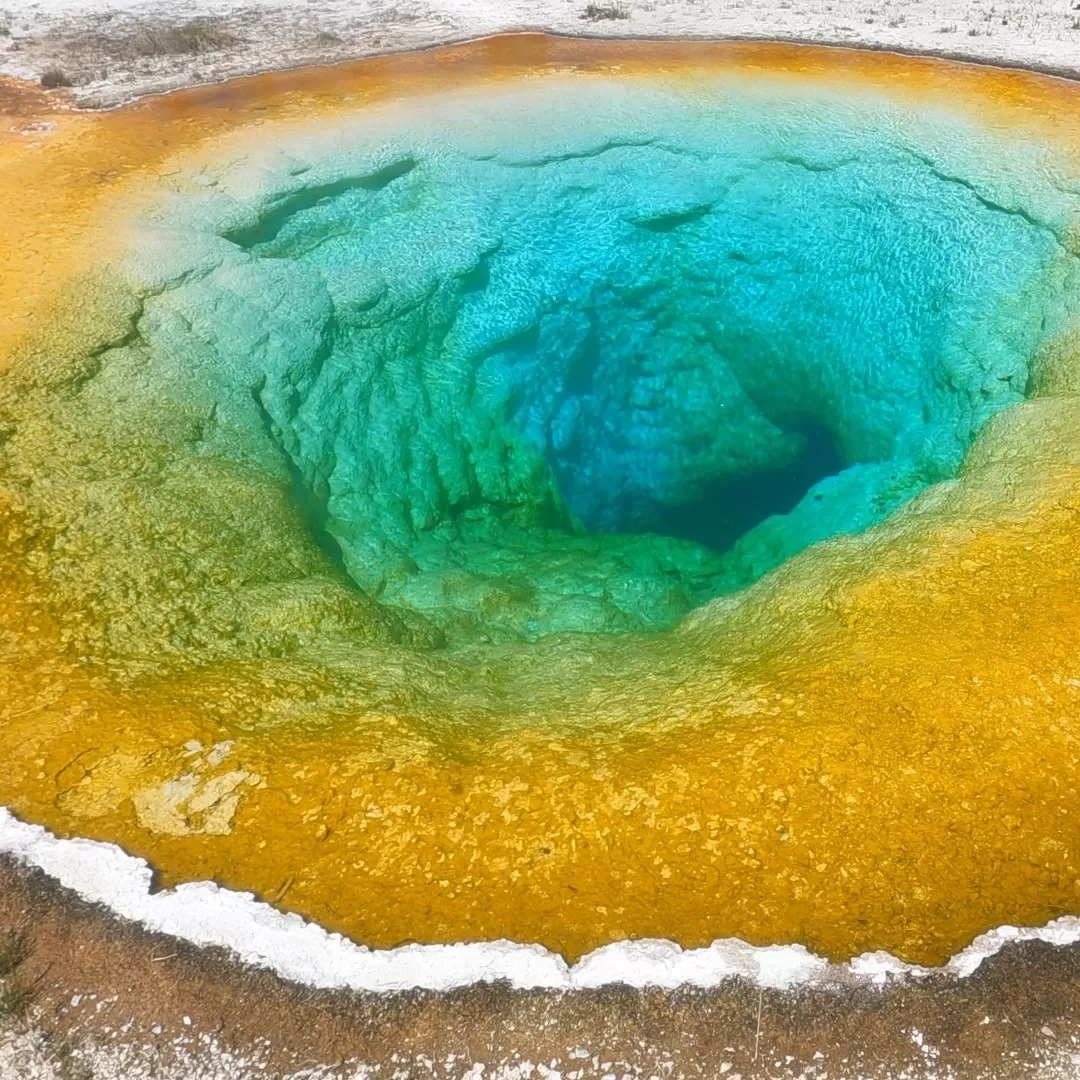 Photo of Yellowstone National Park By Vinod Bhat M