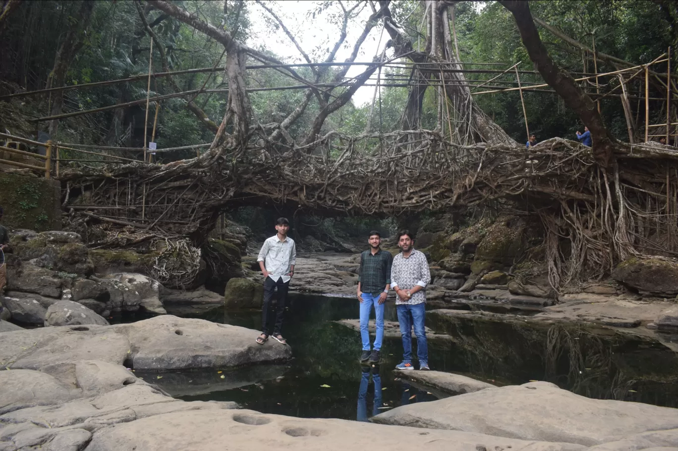 Photo of Double Decker Living Root Bridge By Ranveer Singh