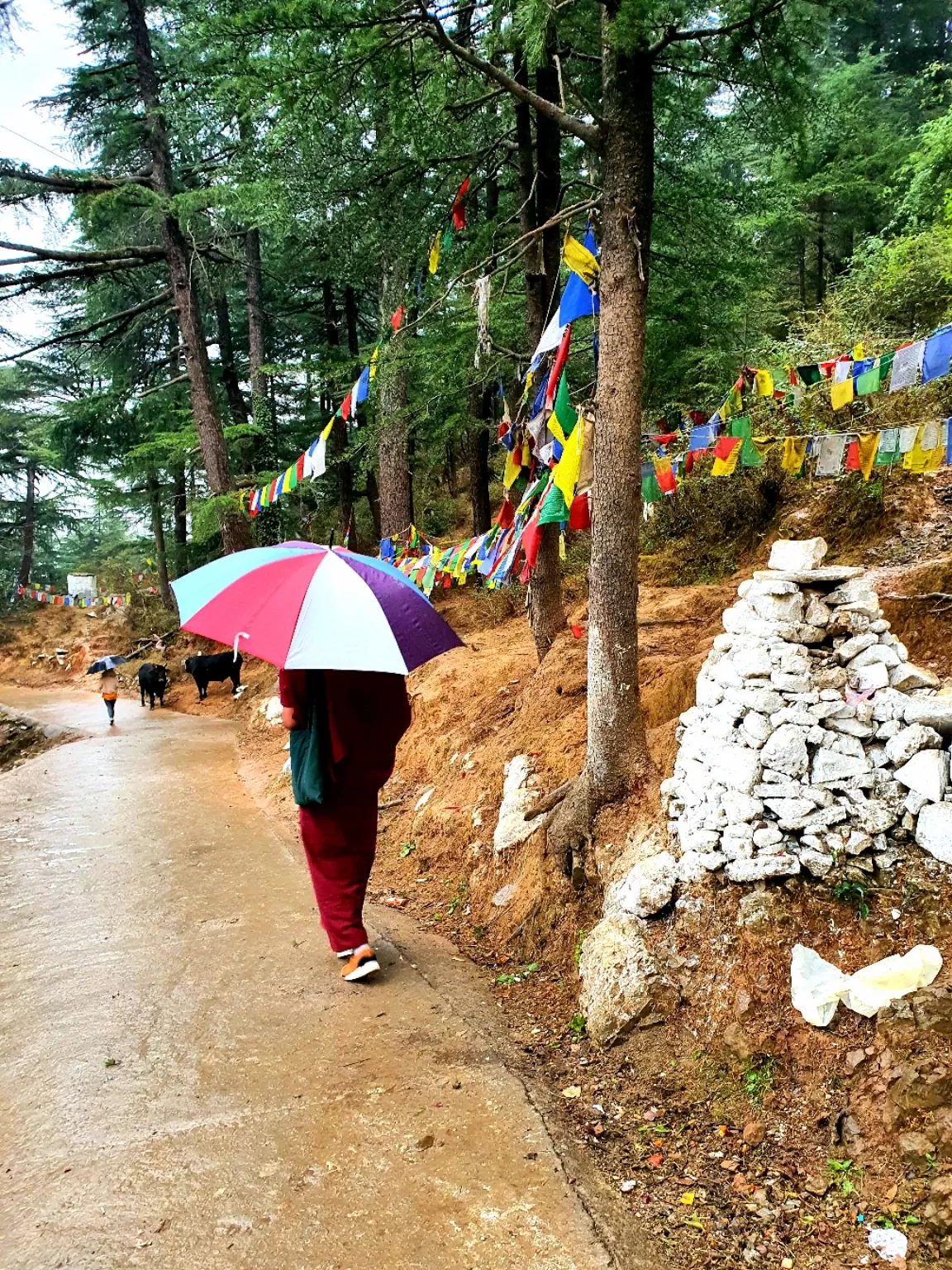 Photo of Dharamshala By Uma Patra