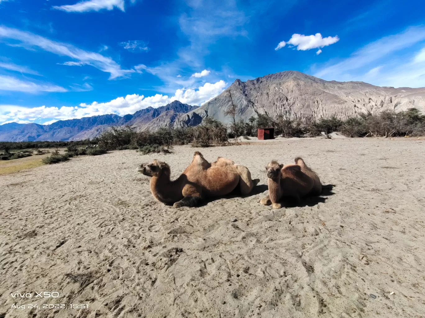 Photo of Nubra Valley By Arnab Chatterjee 