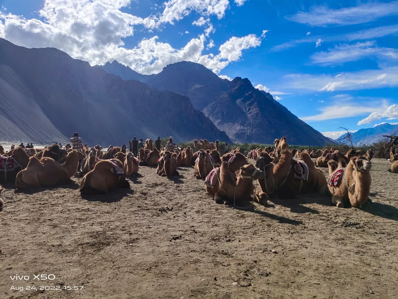 Photo of Nubra Valley By Arnab Chatterjee 