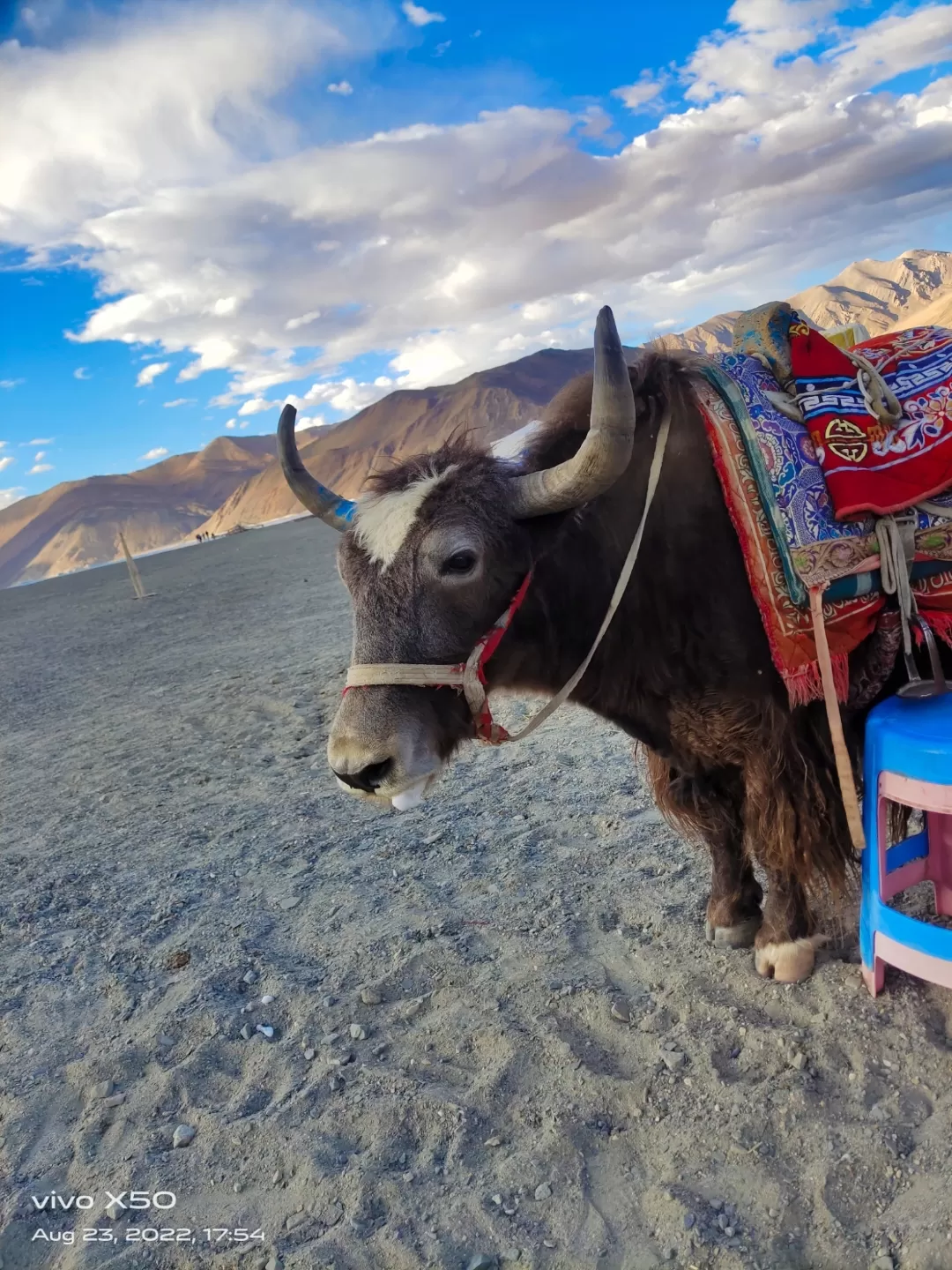 Photo of Pangong Lake By Arnab Chatterjee 