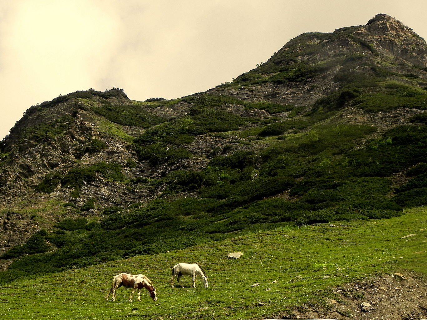 Photo of An Atheist's photologue - Amarnath Ji journey By Souvo Chowdhury