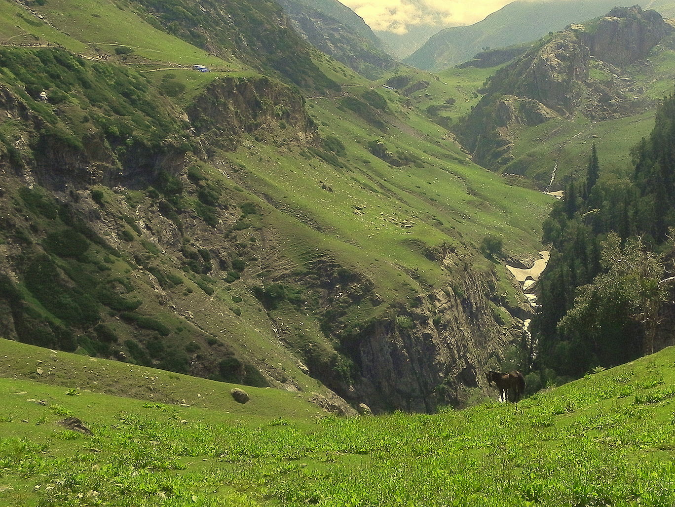 Photo of An Atheist's photologue - Amarnath Ji journey By Souvo Chowdhury