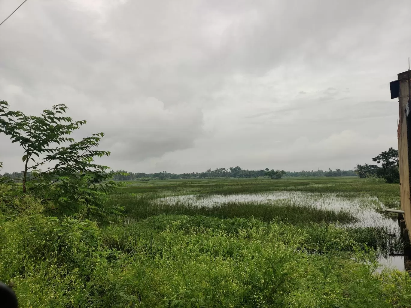 Photo of Kakdwip By udayan das