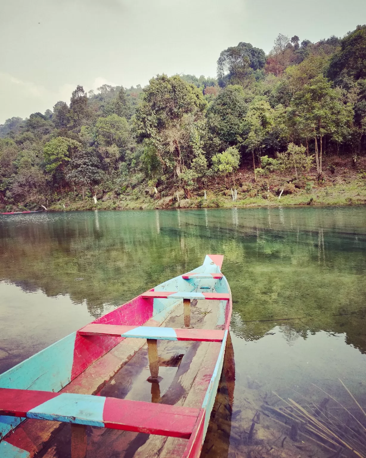 Photo of Meghalaya By travelgirl