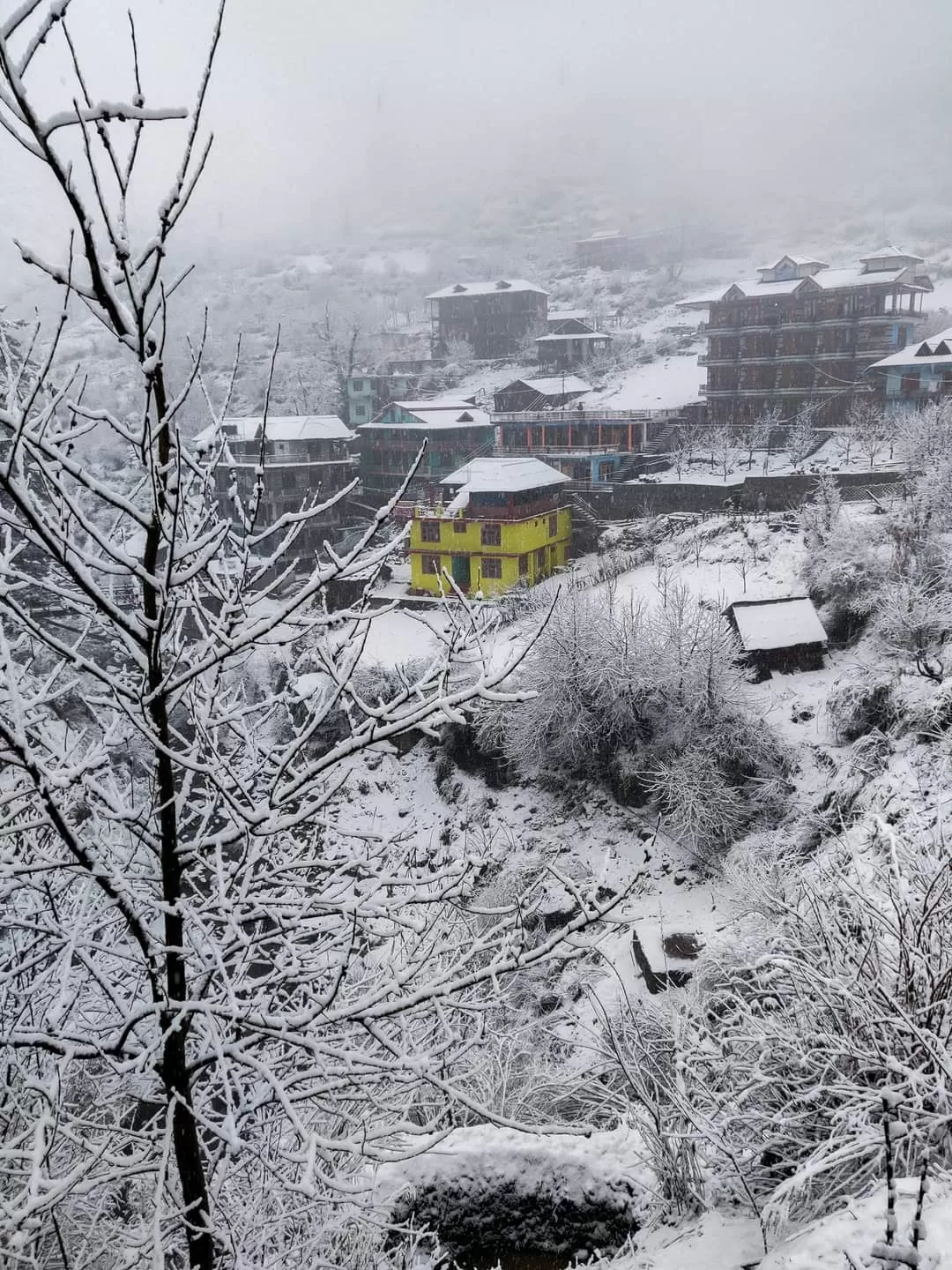 Photo of Parvati Valley By Money