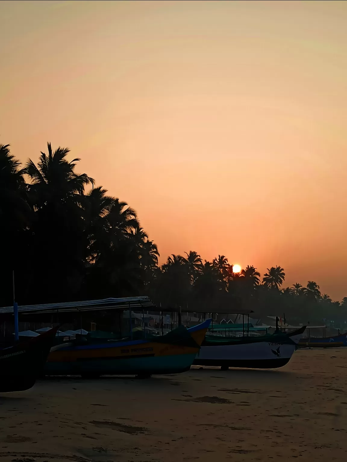 Photo of Palolem Beach By traveldiariees 