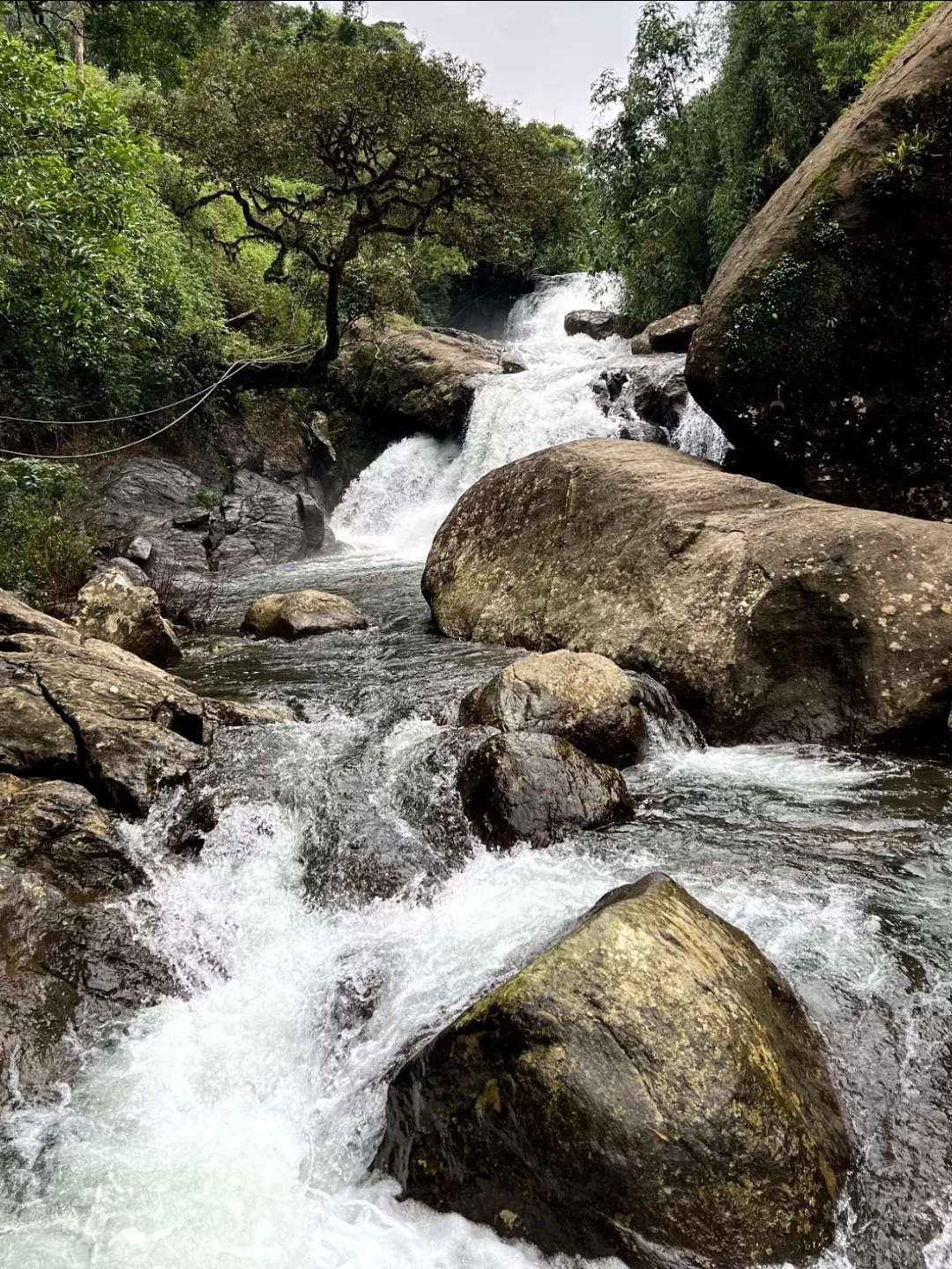 Photo of Wayanad By Abhinav Swamy