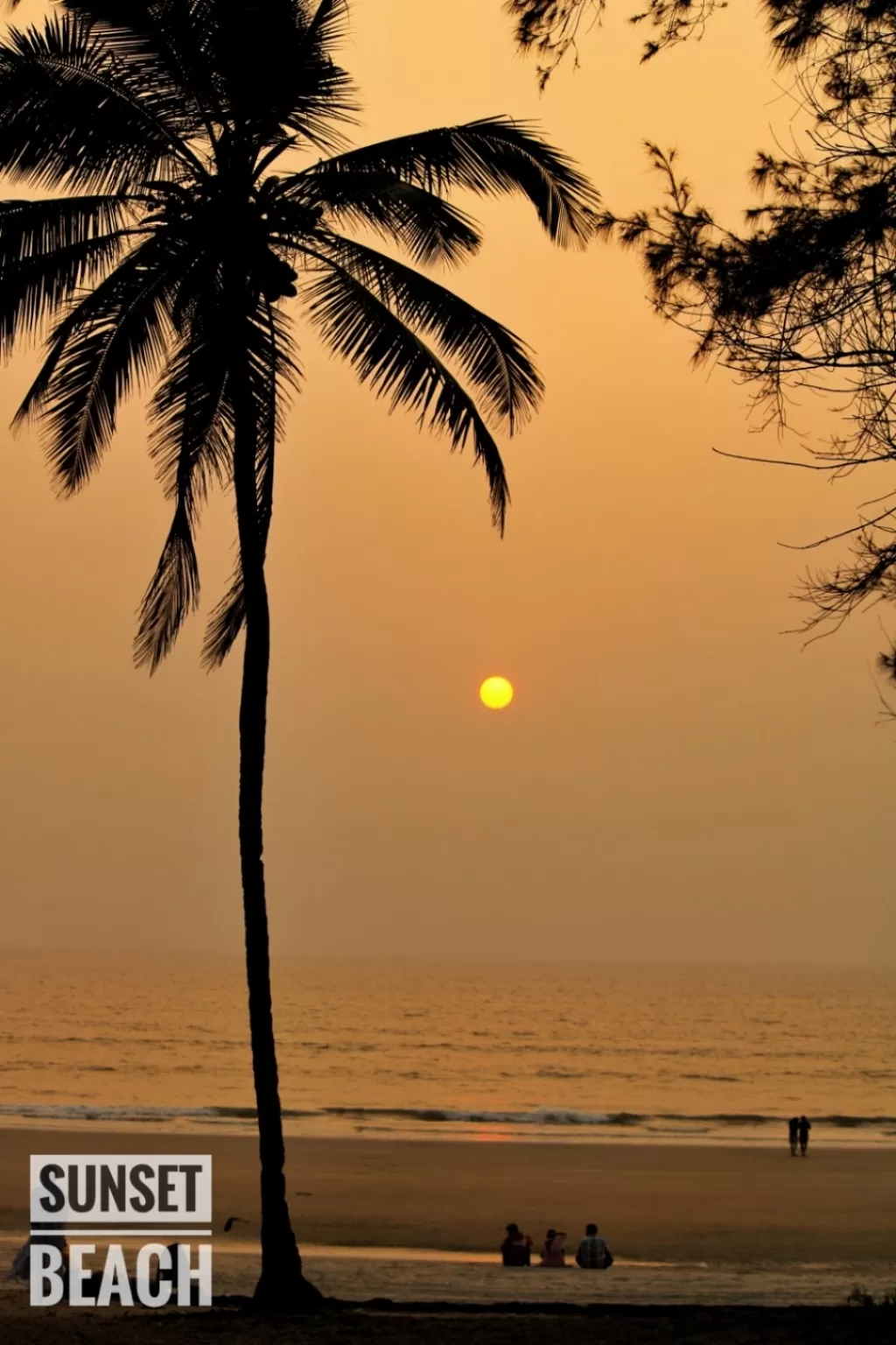 Photo of Sunset Beach By Anil kowadkar