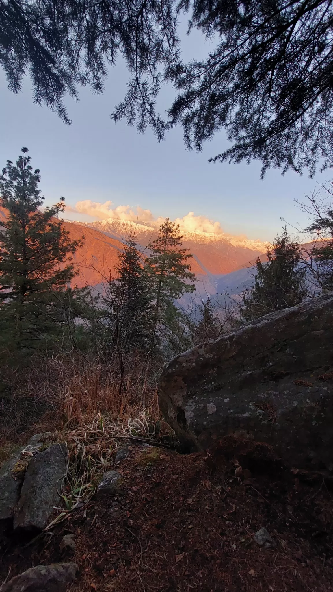 Photo of GHNP GREAT HIMALAYAN NATIONAL PARK By Abhishek Gupta