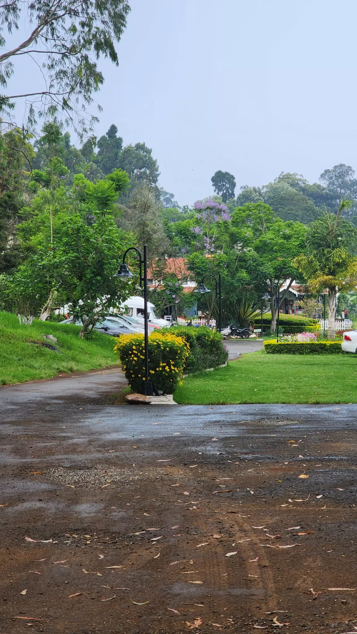 Photo of Coonoor By prajakta bhave