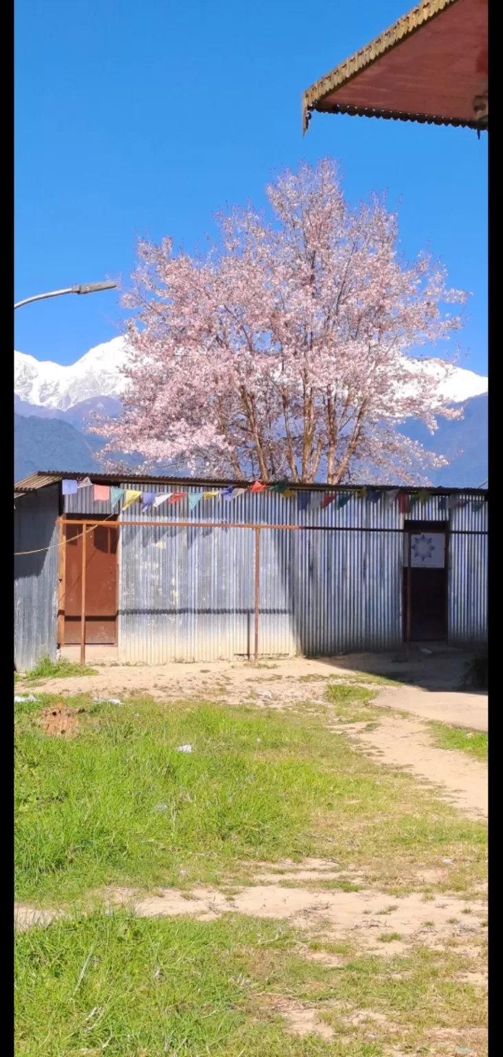 Photo of Pelling By vaishnavi godse