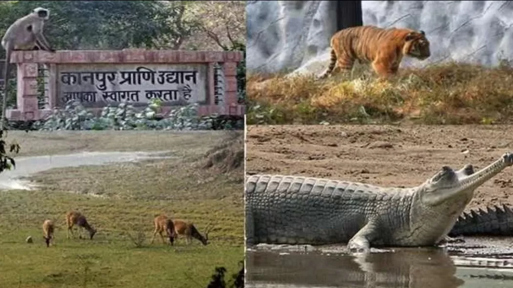 Photo of Kanpur Zoological Park By Praveen kumar