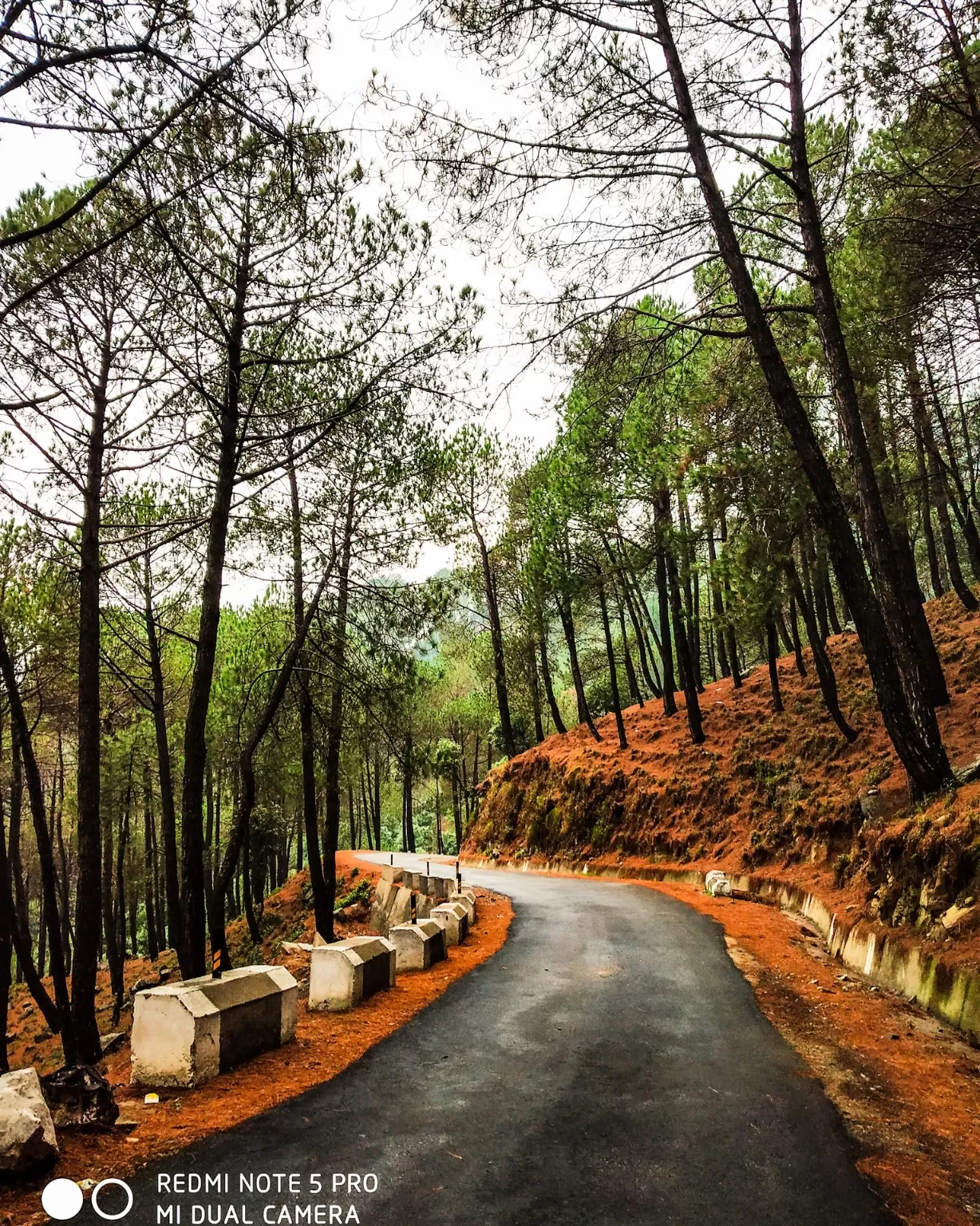 Photo of Bir Colony Rd By desaibhoomika15