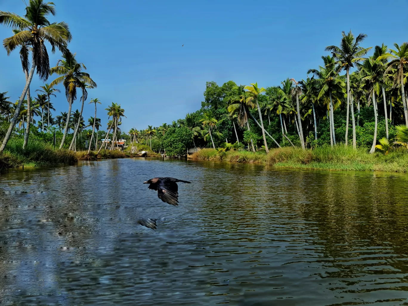 Photo of Kerala By Ajay s Patel