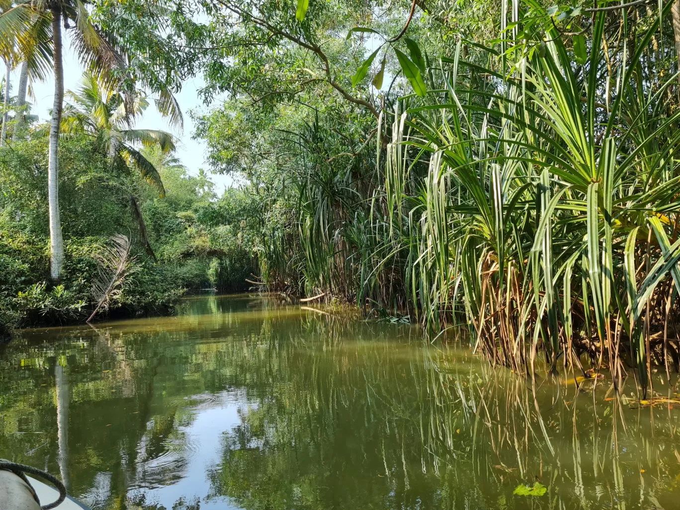 Photo of Kerala By Ajay s Patel