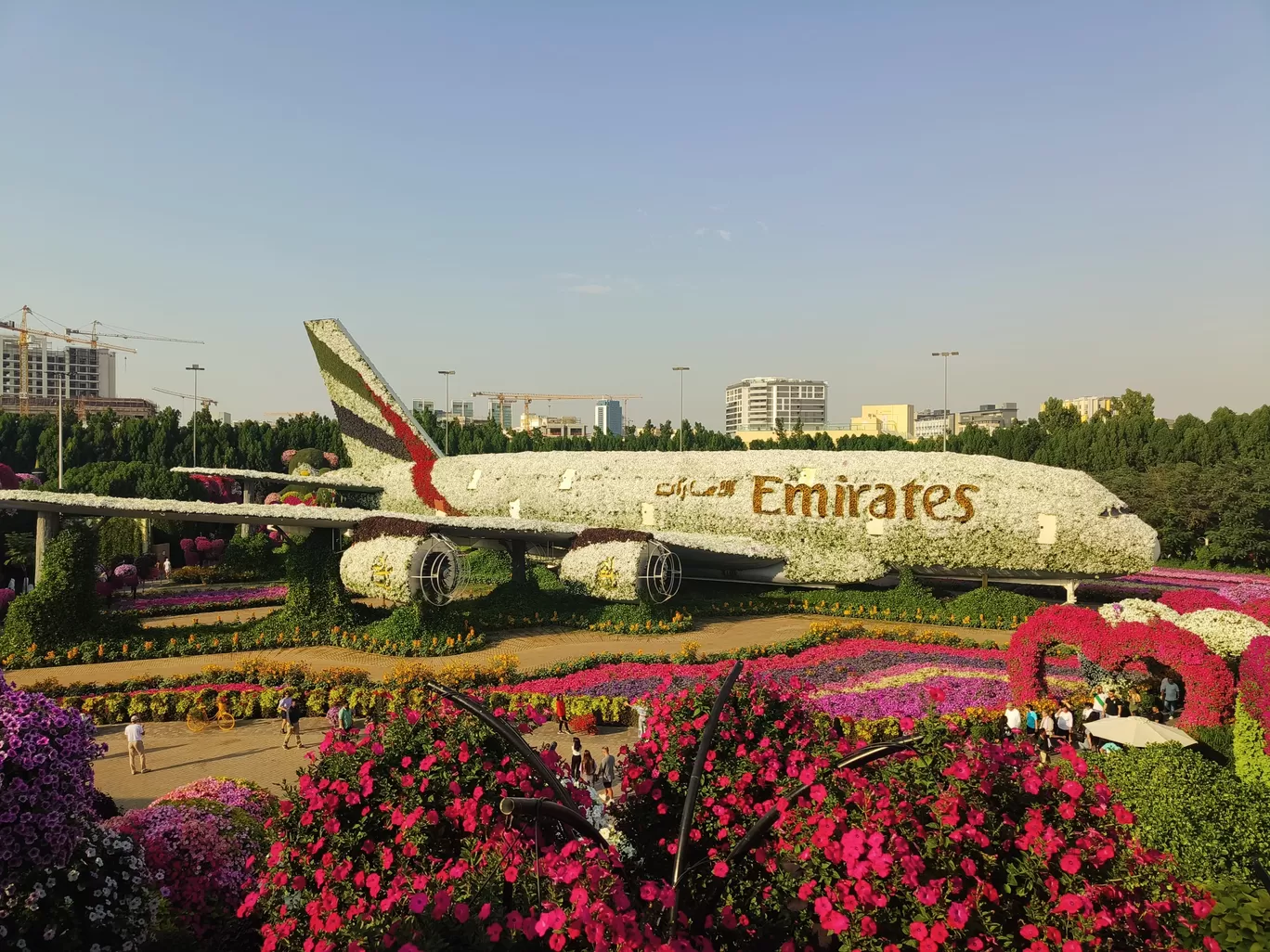 Photo of Miracle Garden By Mohit Wadhwa