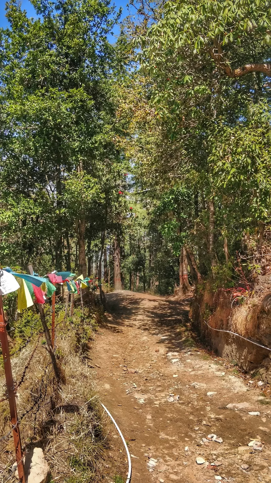 Photo of Mukteshwar By TripTacToe
