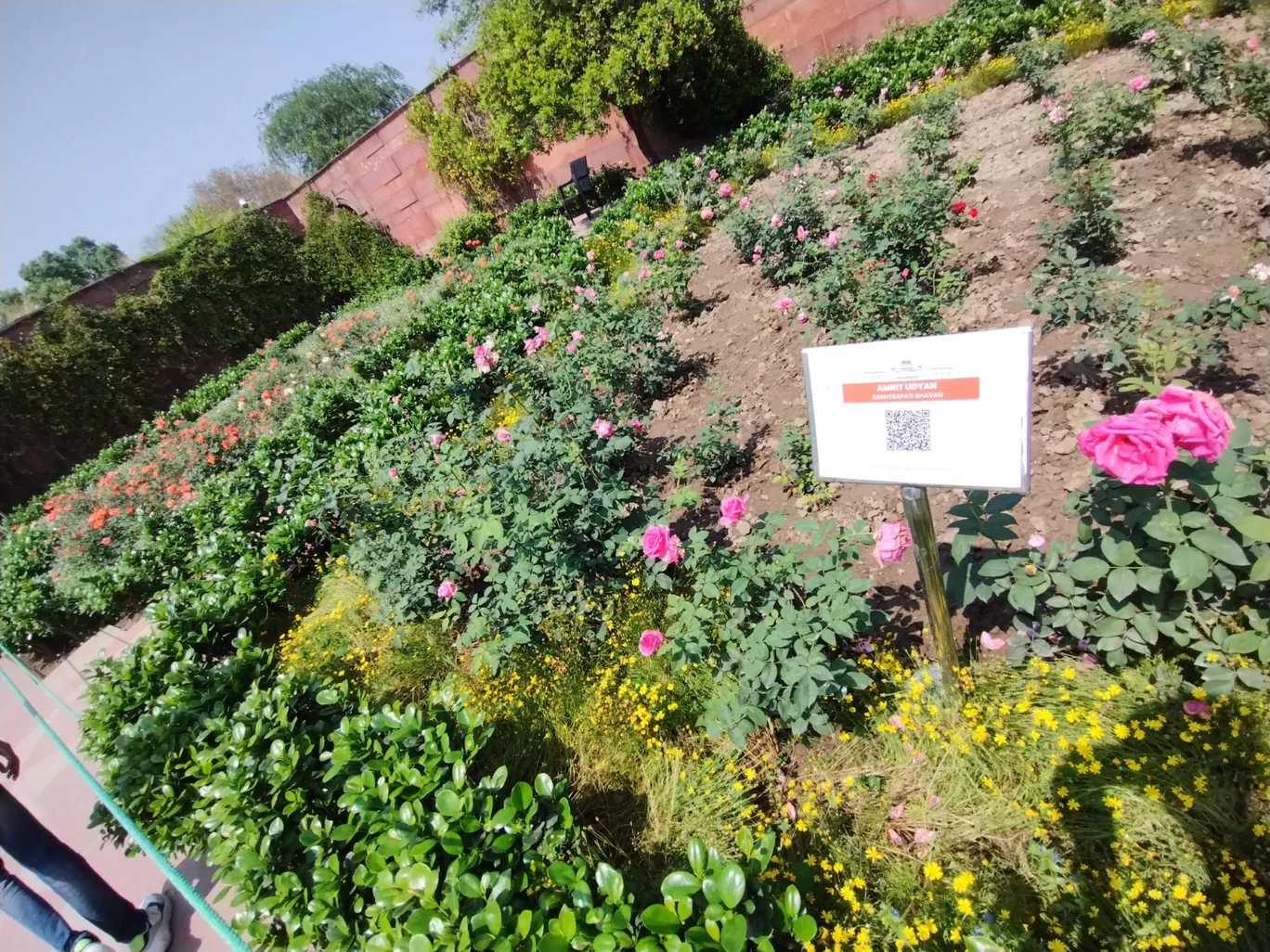 Photo of Rashtrapati Bhavan By Sushant Sharma