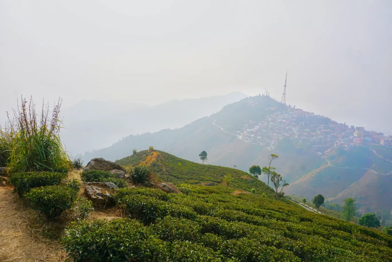 Photo of Kurseong By Moumita Ray