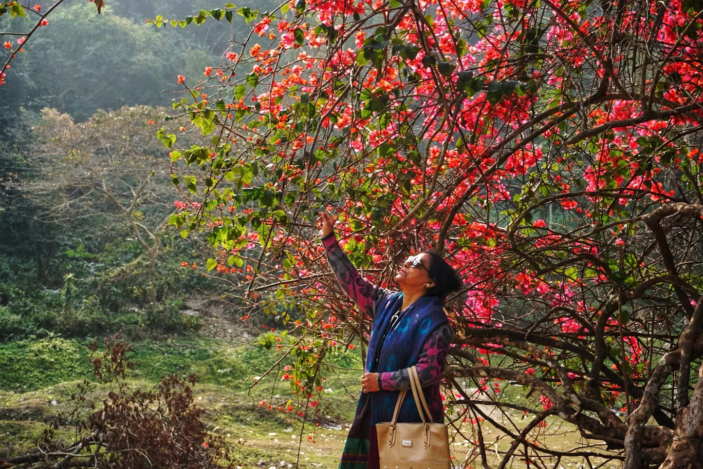 Photo of Kurseong By Moumita Ray