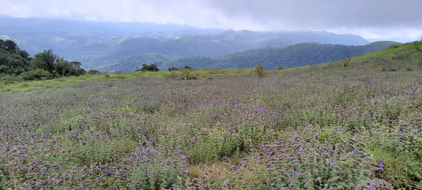 Photo of Mandalpatti Peak By Neha a bhat