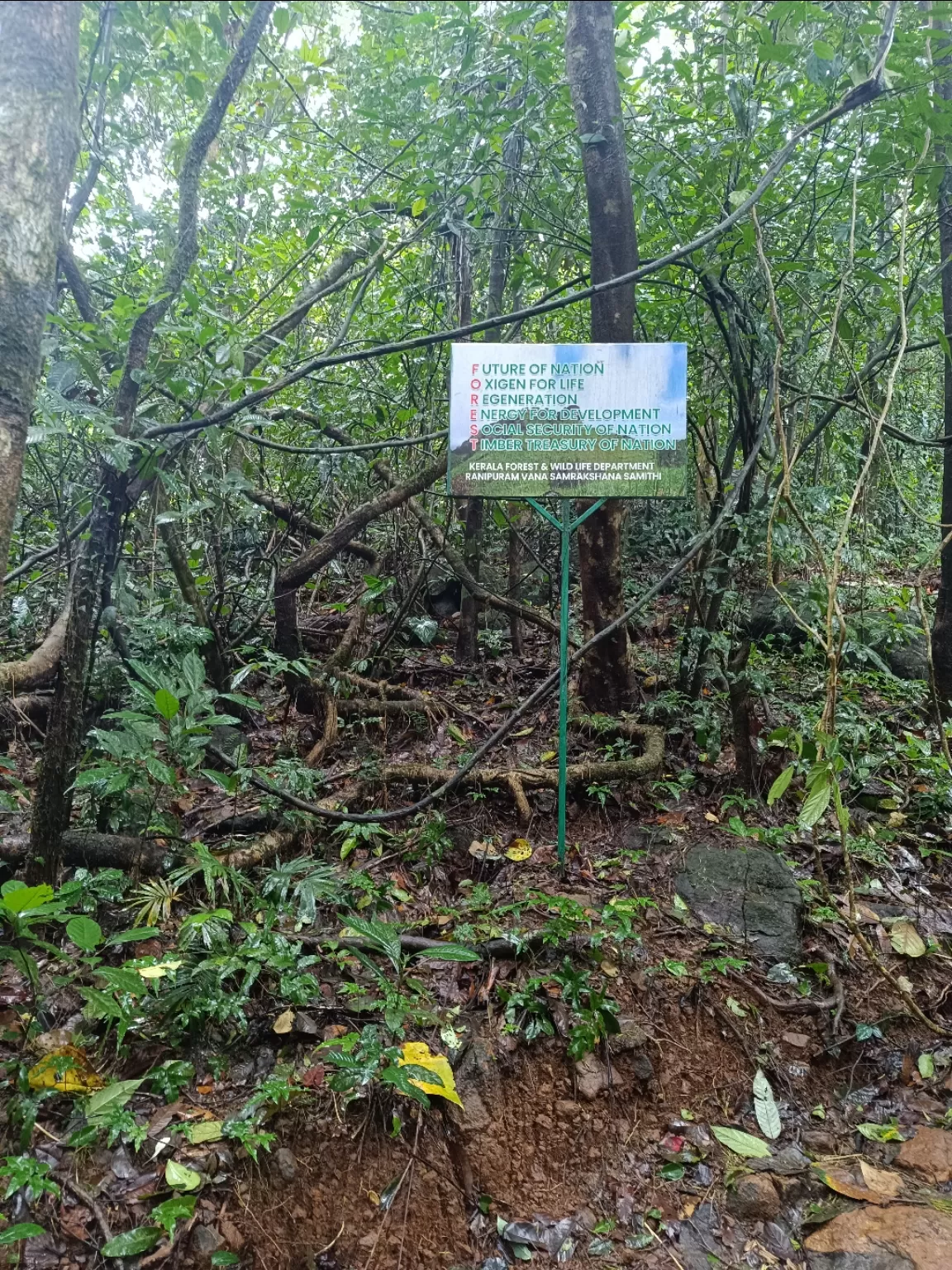 Photo of Ranipuram View Point By Neha a bhat