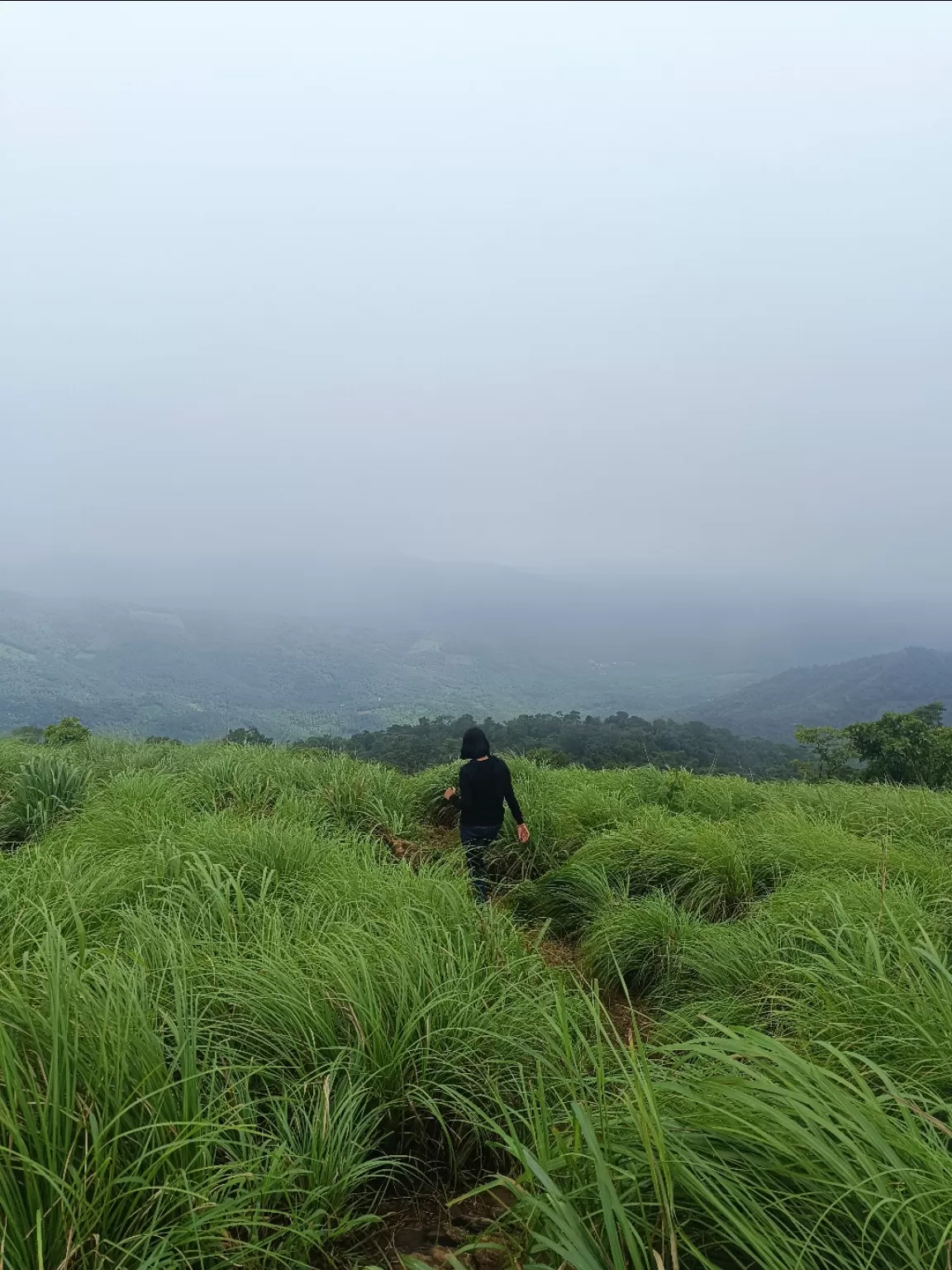 Photo of Ranipuram View Point By Neha a bhat