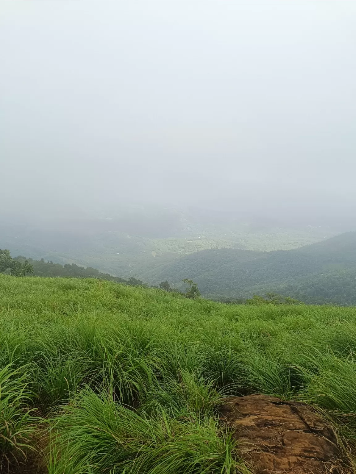 Photo of Ranipuram View Point By Neha a bhat