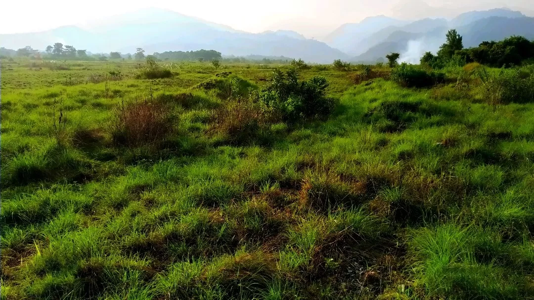 Photo of Chowki Picnic Spot By Rahul Boro