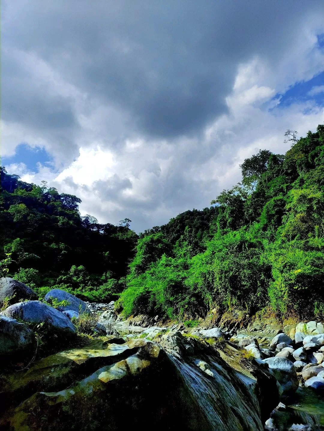 Photo of Chowki Picnic Spot By Rahul Boro