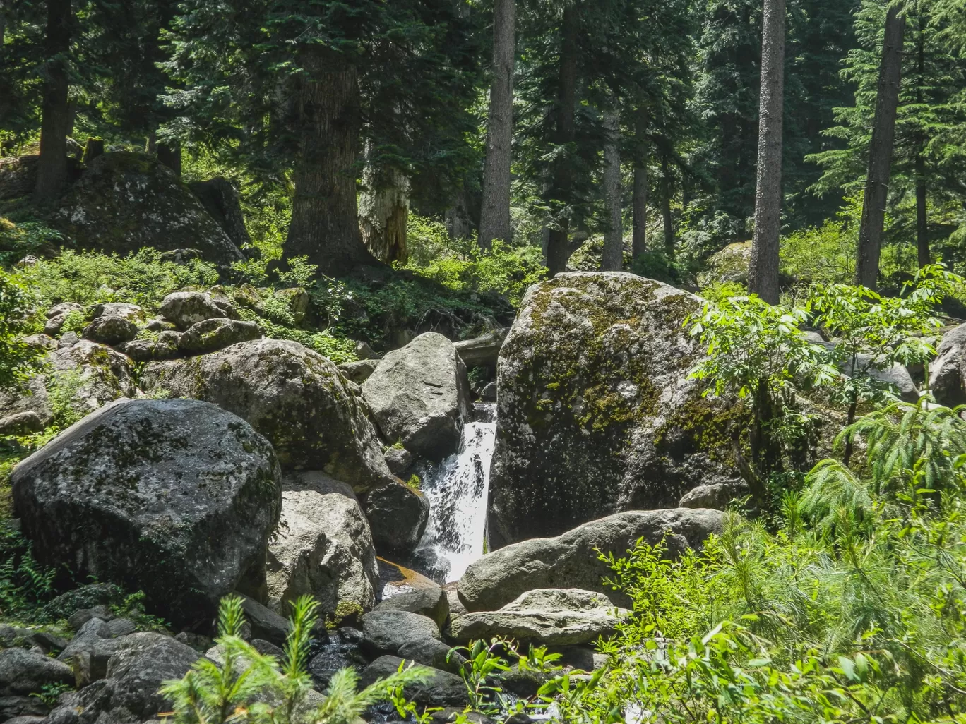 Photo of Churdhar By Phadi Nomads