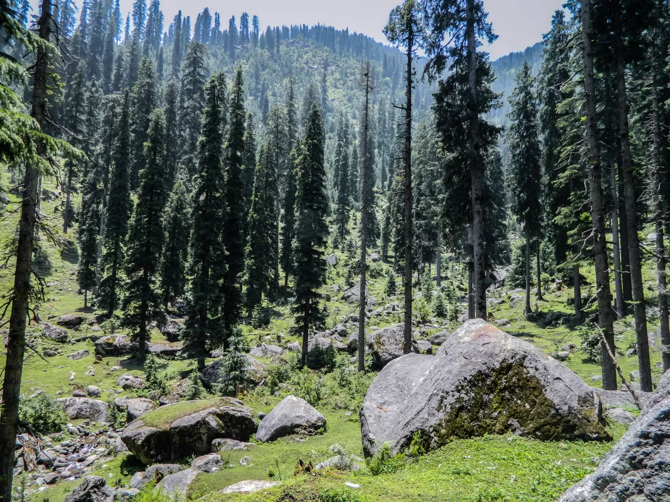 Photo of Churdhar By Phadi Nomads