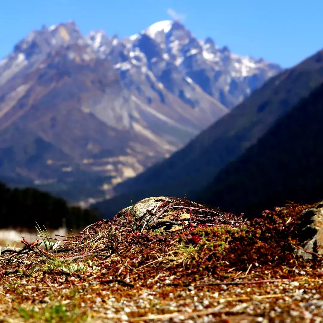 Photo of North Sikkim By Saha Swapan