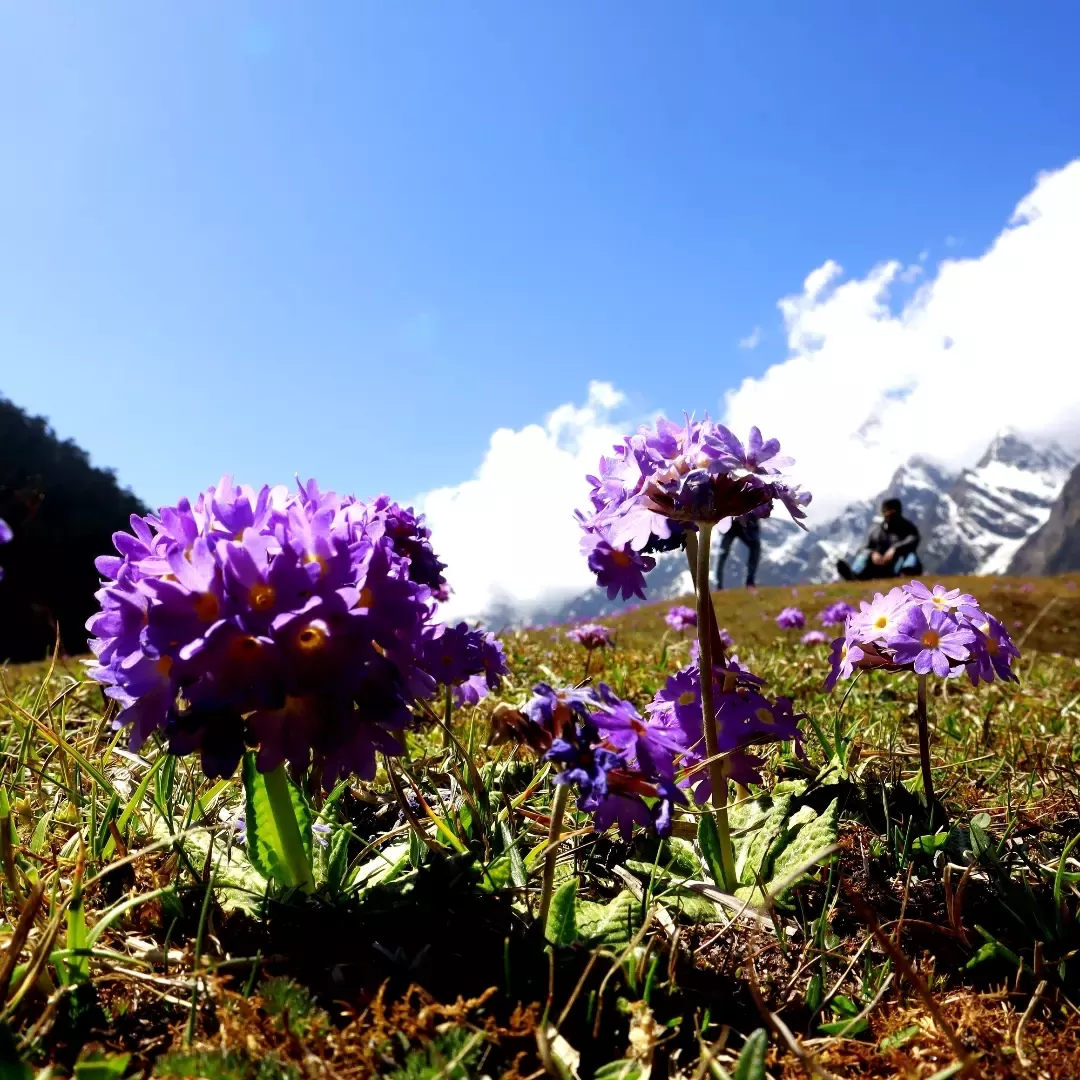 Photo of North Sikkim By Saha Swapan