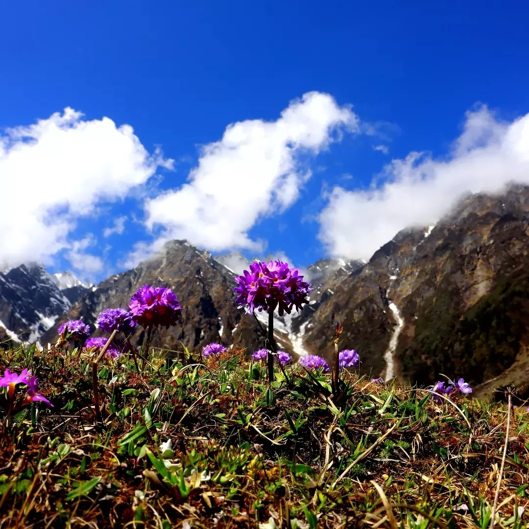 Photo of North Sikkim By Saha Swapan