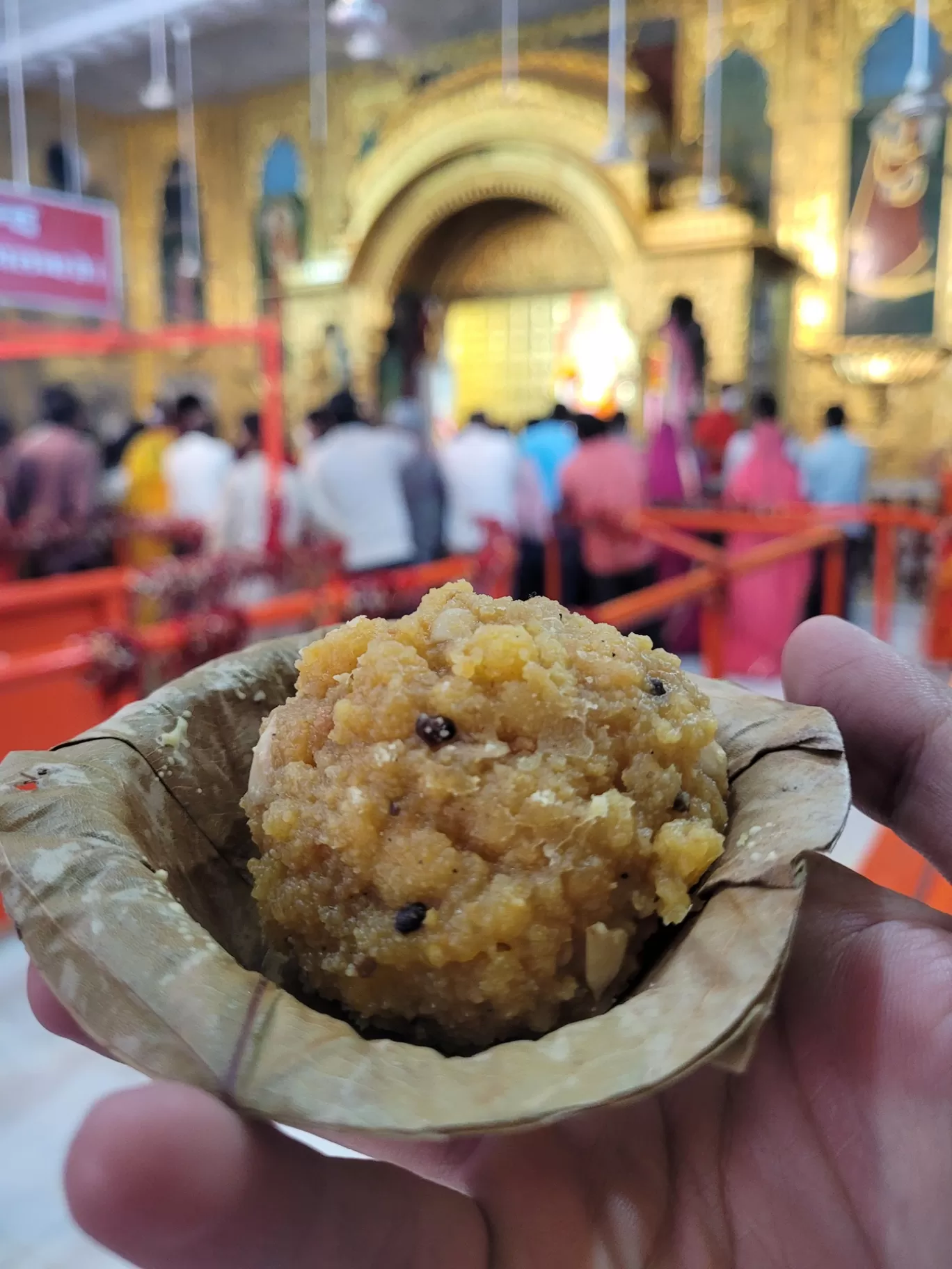 Photo of Moti Dungri Ganesh Ji Temple By Parul