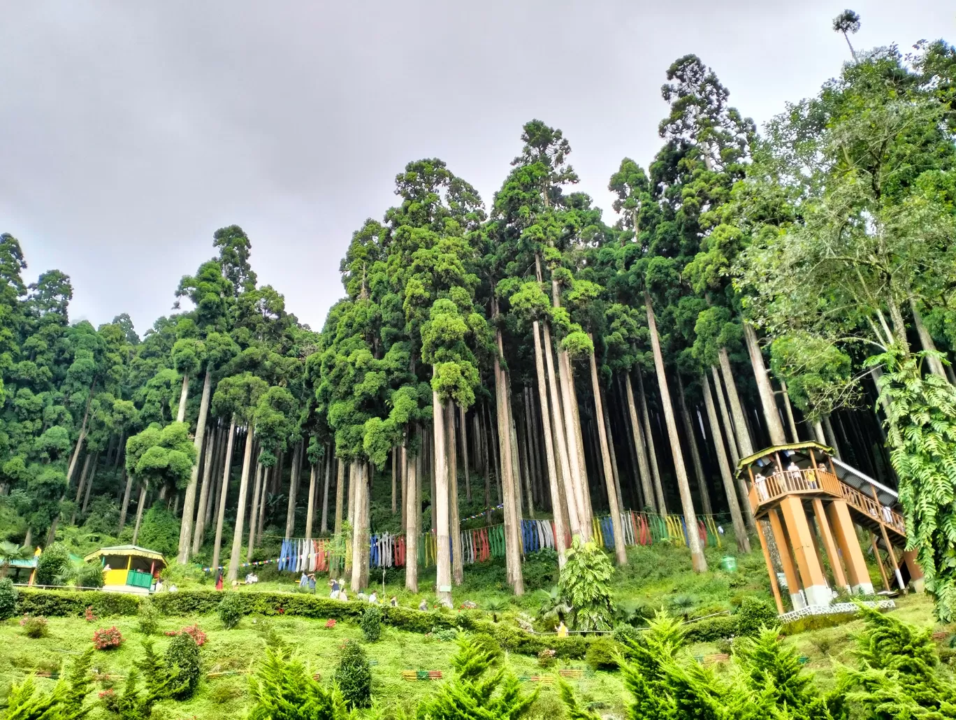 Photo of Lamahatta Eco Park By Rudraneel 